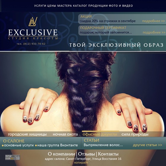 Вебсайты: Студия красоты EXCLUSIVE