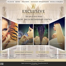 Вебсайты: Студия красоты EXCLUSIVE